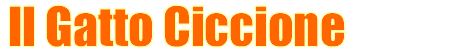 Il Gatto Ciccione